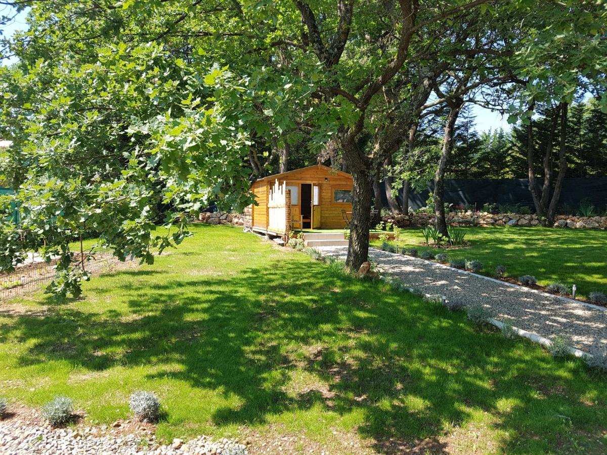 Les Lezards 2 Au Soleil Draguignan Bed & Breakfast Ngoại thất bức ảnh