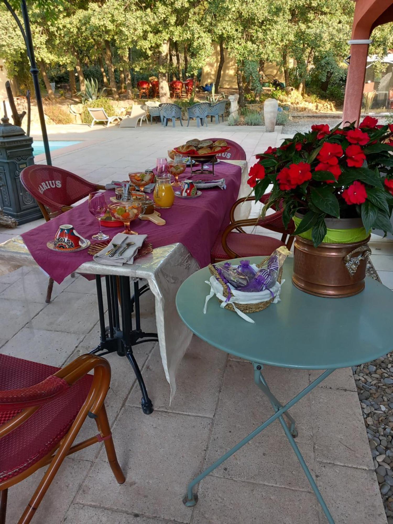 Les Lezards 2 Au Soleil Draguignan Bed & Breakfast Ngoại thất bức ảnh